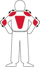 Protektoren verstellbar